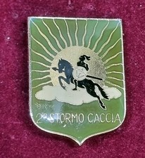 Fregio Distintivo Spilla 2°