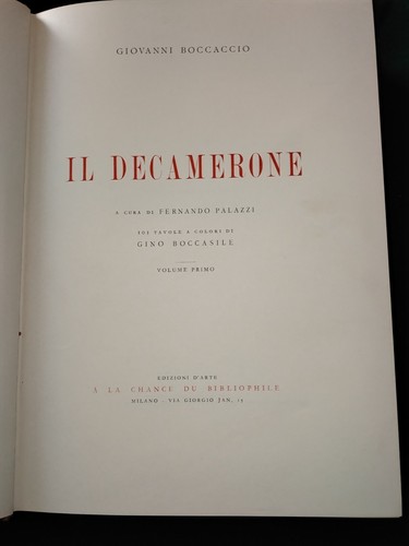 Libro artistico decamerone - libro,