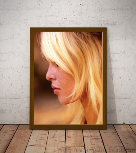 Affiche brigitte bardot - brigitte,