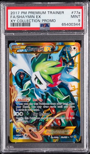 2017 pokemon premium - premium, trainer