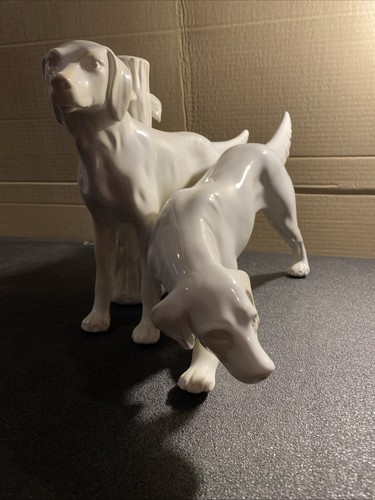 Coppia cani caccia in - coppia,