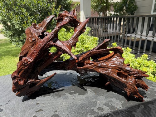Driftwood acquari malesi pesci - acquari,