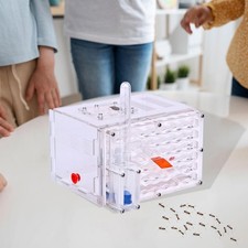 Nido Di Formiche Fai Da Te