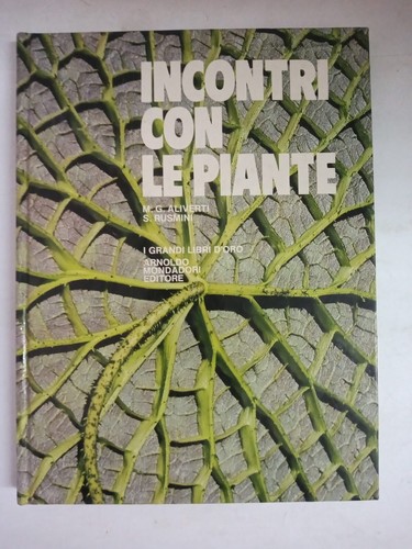 Incontri con piante - incontri, le