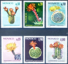 Flora. Giardino esotico 1974.