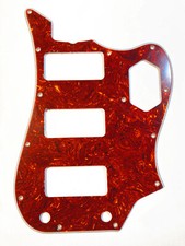 Battipenna tartaruga in