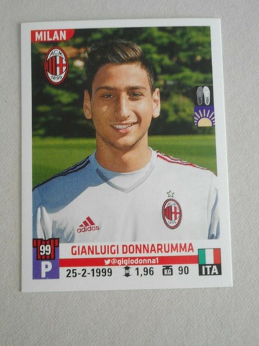 Donnarumma panini - (milan)**,