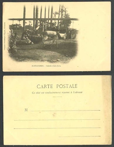 Egypt old postcard alexandria - old,