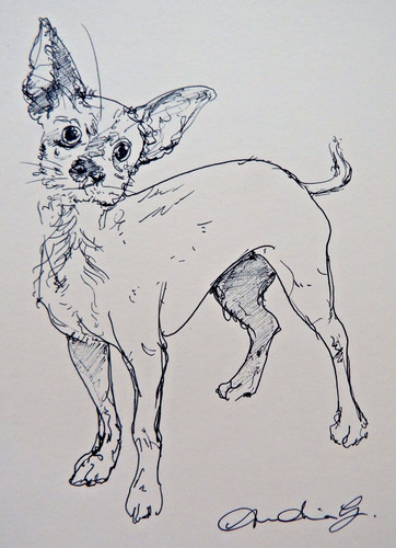 Inchiostro chihuahua cane - inchiostro,