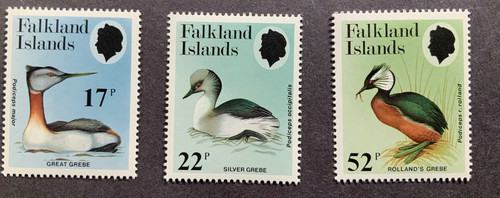 Isole falkland 1984 - isole, birds