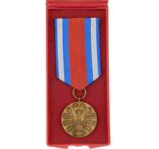 2613 WW2 DISTINTIVO POLACCO DI