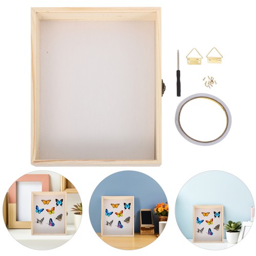 Espositore per insetti legno - espositore,