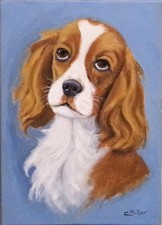 Dipinto originale Spaniel cane
