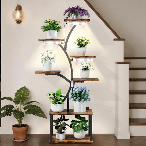 Scala per fiori - , xxl