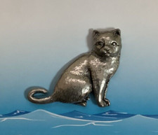 British Shorthair Cat Silver