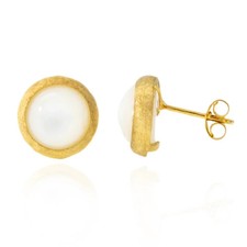 Meravigliosi ORECCHINI Toppa