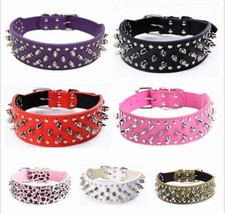 Spiked Studded PU Leather Dog