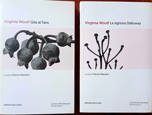 Vol virginia woolf - virginia, la