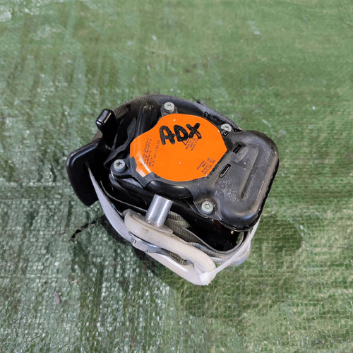 Cintura sicurezza ant dx - di, ant.
