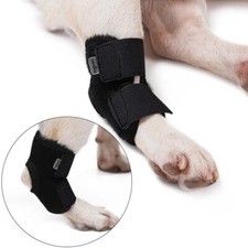Dog arthritis injury knee - dog, pad