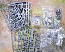 Lotto Elfi Legno Warhammer