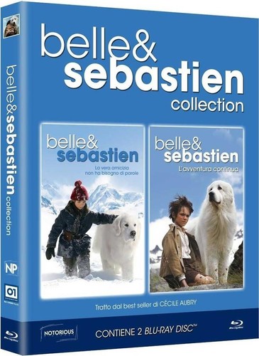 Blu ray belle sebastien - ray, e