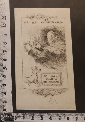 Wunderkammer exlibris - exlibris, "