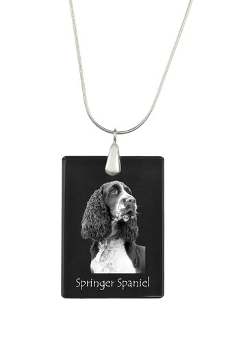 Springer spaniel inglese - springer,