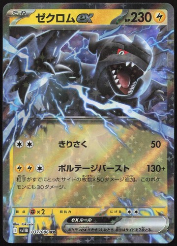 Pokémon zekrom doppio - pokémon,