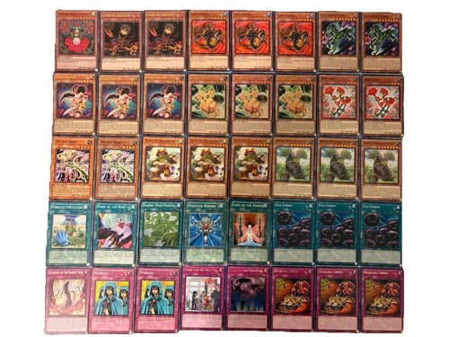 Mazzo piante yugioh - di,