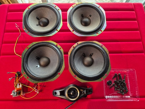 Lot boomers medium - medium, +