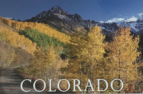 Cartolina colorado golden - cartolina,