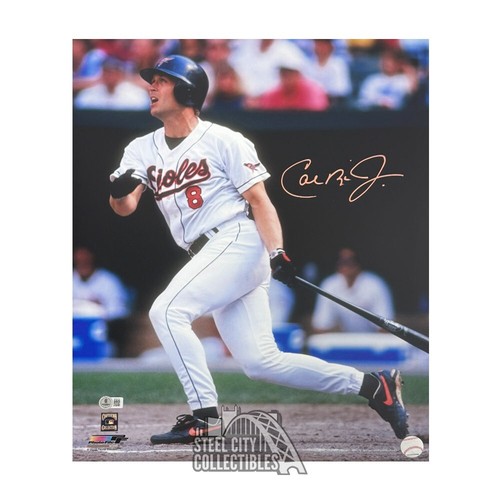 Foto baseball 16x20 cal ripken - baseball,