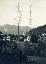 LAUCO (Udine). CARNIA. Panorama. Vg. s/fr. 1959.