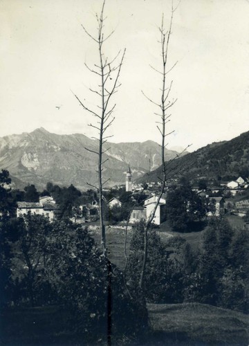 Lauco carnia - lauco,