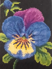 QUADRO CANOVACCIO MEZZO PUNTO