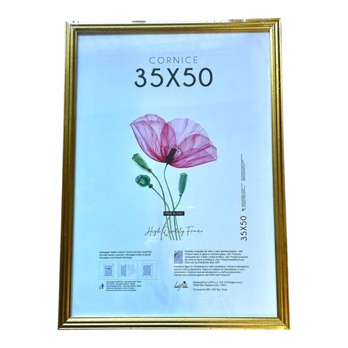 Cornice legno dorato 35x70 - in,