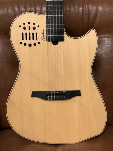 Godin multiac nylon string - godin,