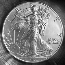 Moneta Argento Fine .999 US