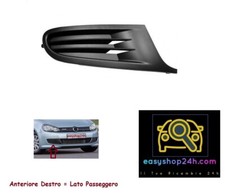 GRIGLIA PARAURTI ANTERIORE DX