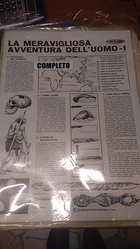 Meravigliosa avventura - la,