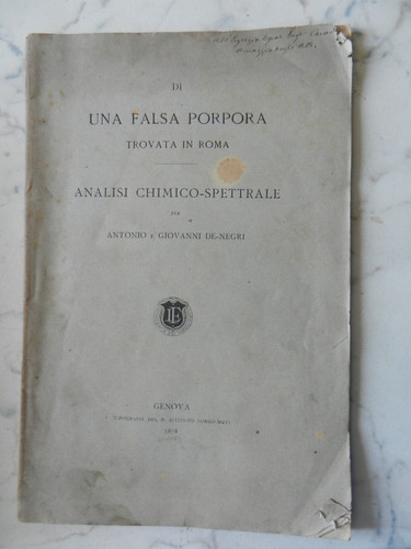 Paola falsa porpora - paola),