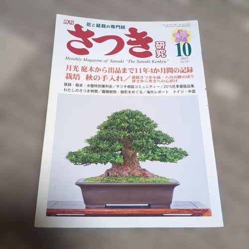 Japanese bonsai and flower - japanese,