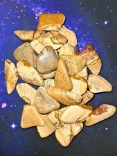SET OF 3 x Picture Jasper