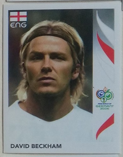2006 panini stickers chose - wc,