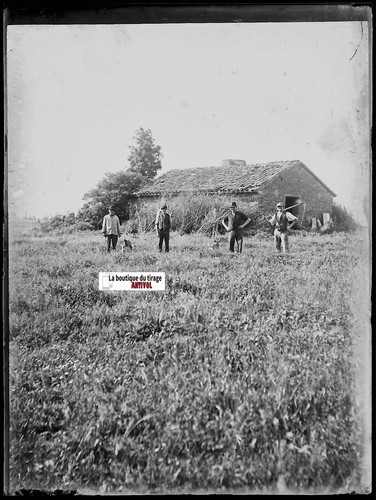 Contadini campagna placca - contadini,, campagna,
