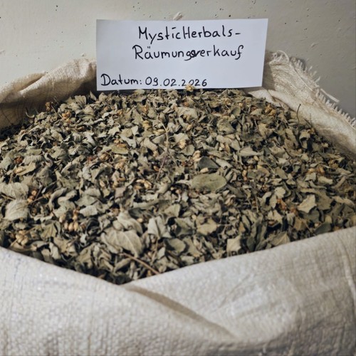 Calea zacatechichi bulk - zacatechichi,