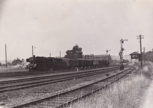 Foto locomotiva vapore 50 - foto, a