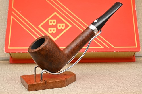 Pipa natale bbb britain - pipa, britain’s