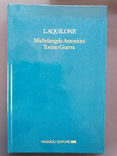 Aquilone michelangelo - l'aquilone,
